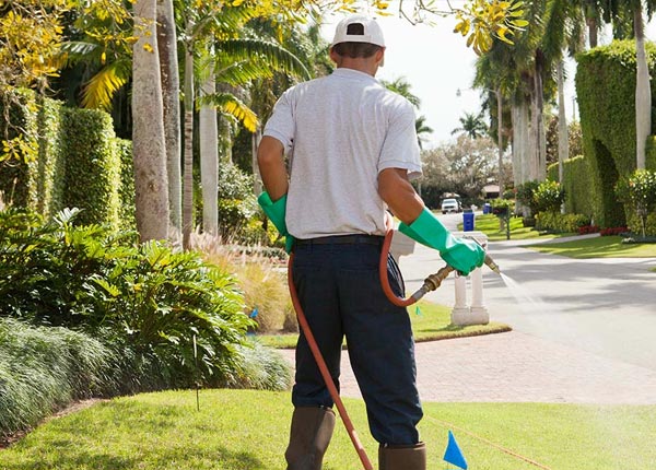 About Dunbar NE Pest Control
